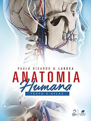 Imagem representativa de Anatomia Humana - Texto e Atlas