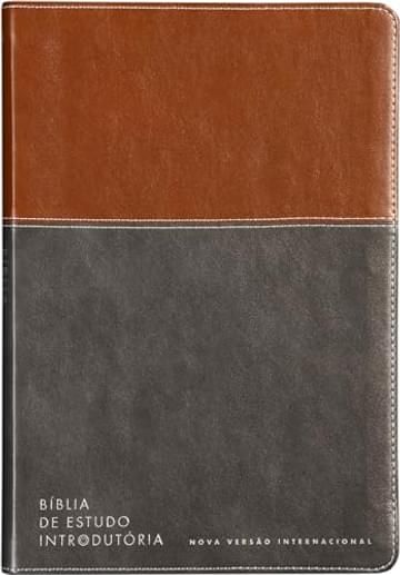 Imagem representativa de Bíblia de estudo introdutória, NVI, Couro-soft marrom e cinza chumbo, Leitura Perfeita