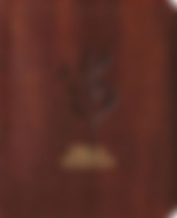 Miniatura de Bíblia Mulheres NVT - Uma Coluna - Oliveira Marrom: Por Viviane Martinello