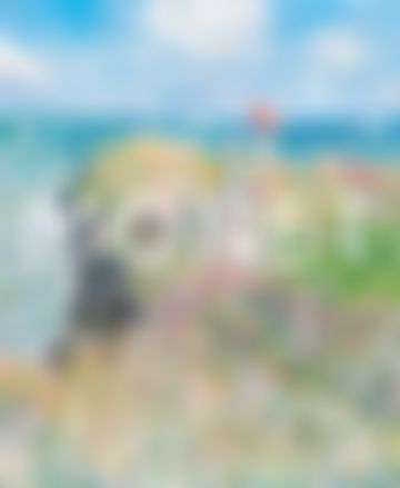Miniatura de Monet