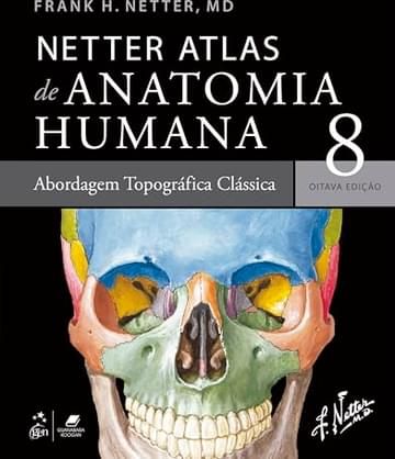 Imagem representativa de Netter Atlas de Anatomia Humana – Abordagem Topográfica Clássica