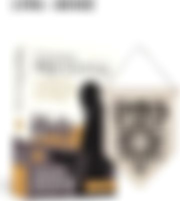 Miniatura de O visconde de Bragelonne: edição comentada (Vol. 03) (com brinde): O homem da máscara de ferro